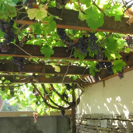 Maison Disa Maison d'hôtes